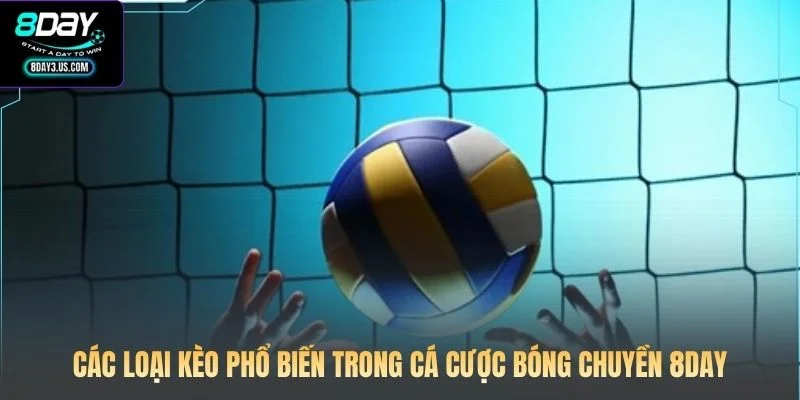 Cá Cược Bóng Chuyền 8DAY: Nghệ Thuật Đọc Kèo Từ Cao Thủ 3 Các loại kèo phổ biến trong cá cược bóng chuyền 8DAY