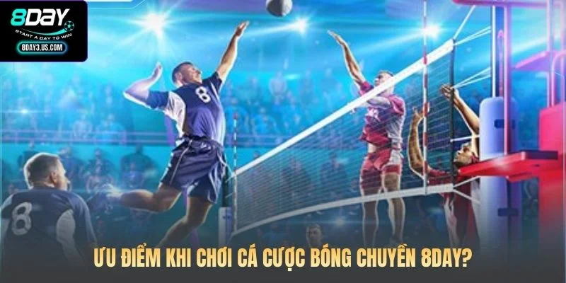 Cá Cược Bóng Chuyền 8DAY: Nghệ Thuật Đọc Kèo Từ Cao Thủ 2 Ưu điểm khi chơi cá cược bóng chuyền 8DAY?